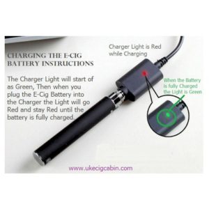 eGo USB charger